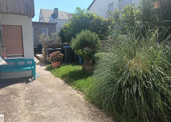 Mattheiser Weiher * Trier